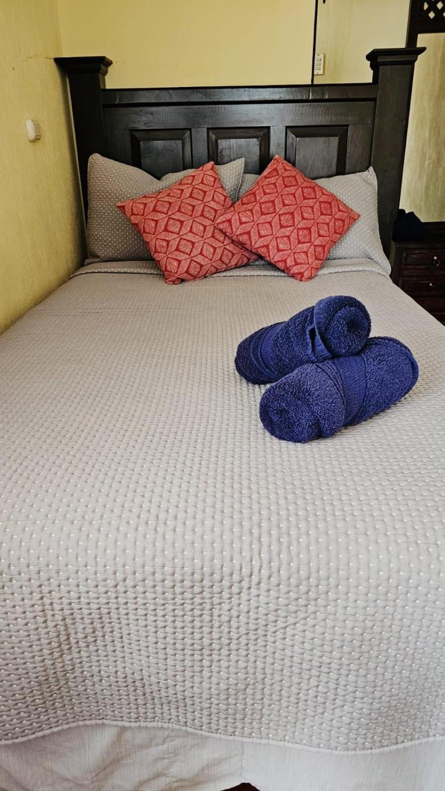 One Day Trip Hostel Antigua Екстериор снимка